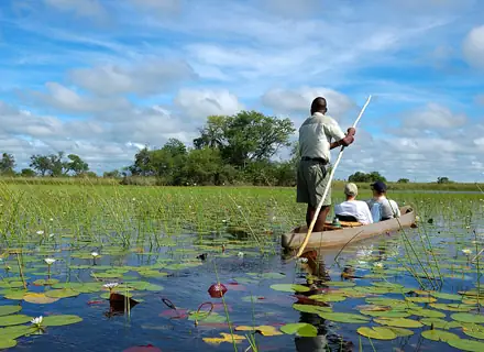 12 Days Unforgettable Botswana Tour