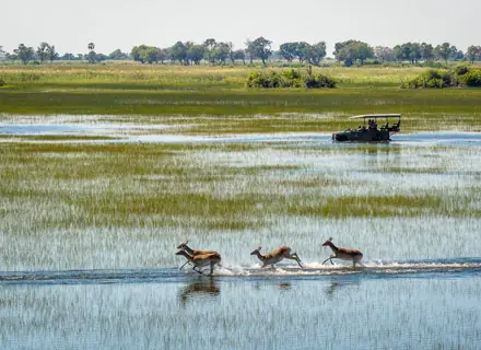 Okavango Delta