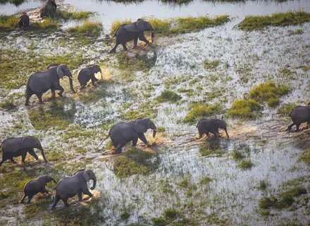 Maun National Park