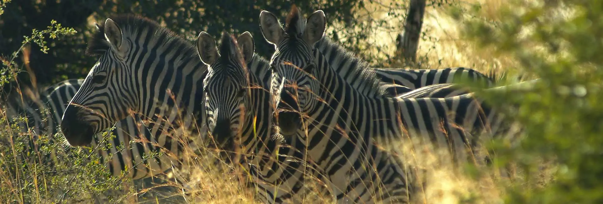 Bwabwata National Park