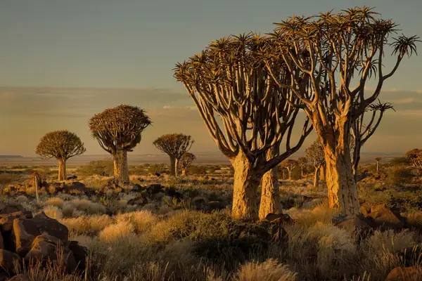 Namibia