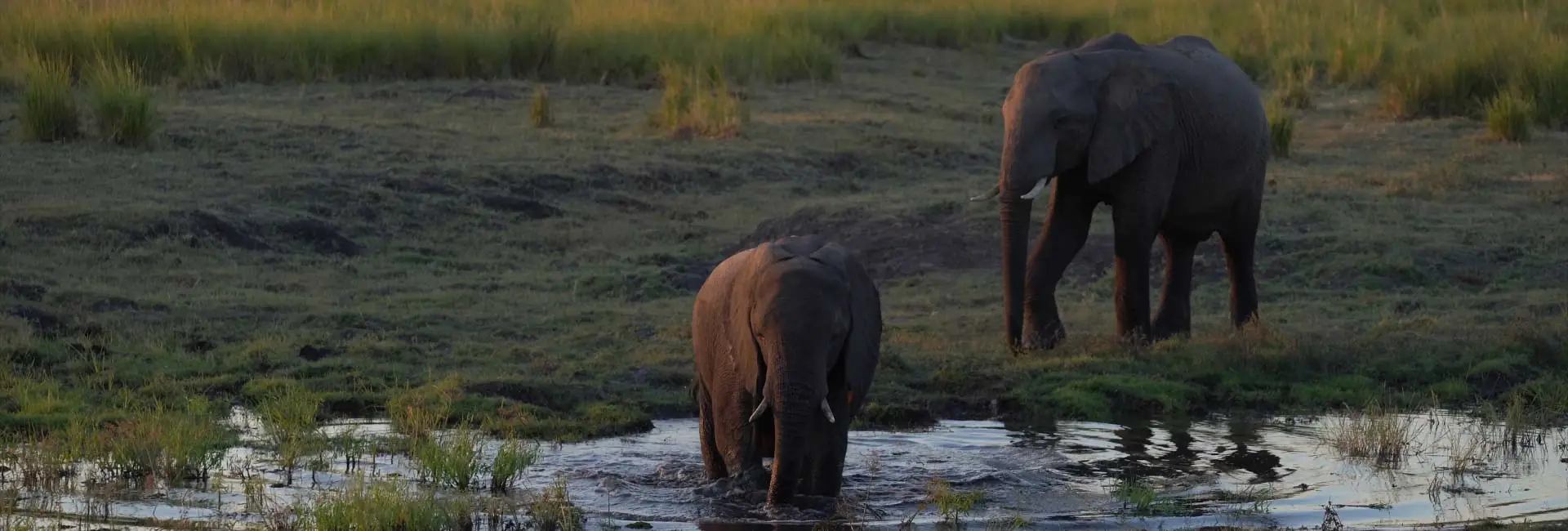 Kasane National Park