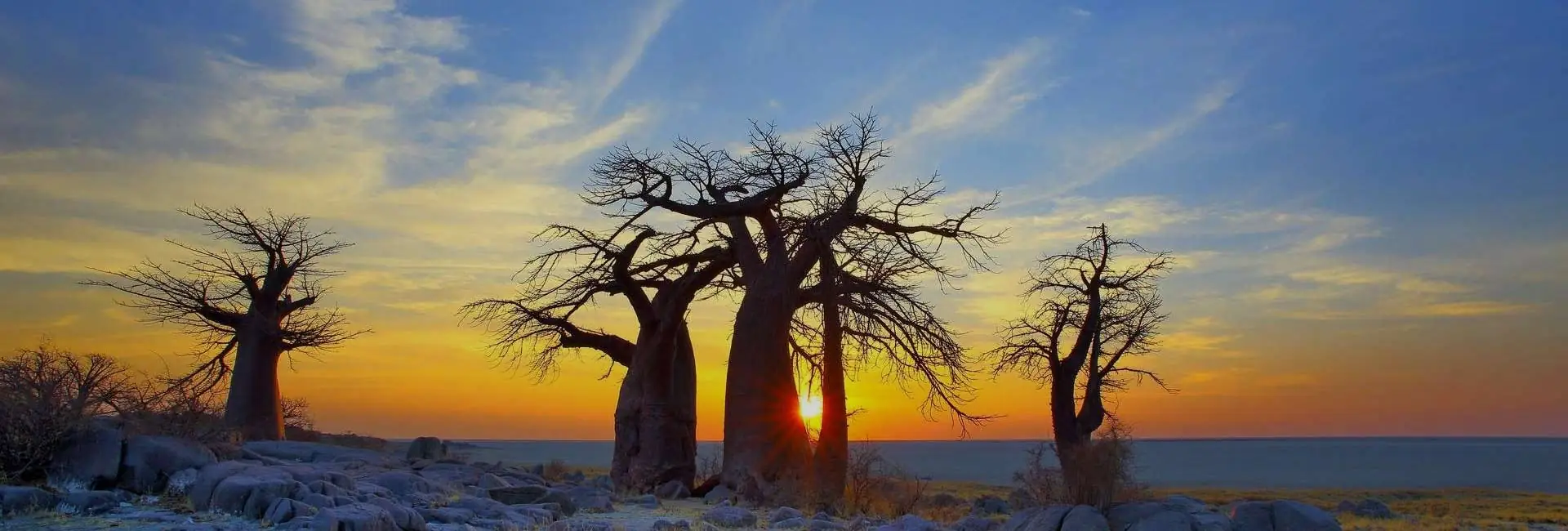 Makgadikgadi Pan