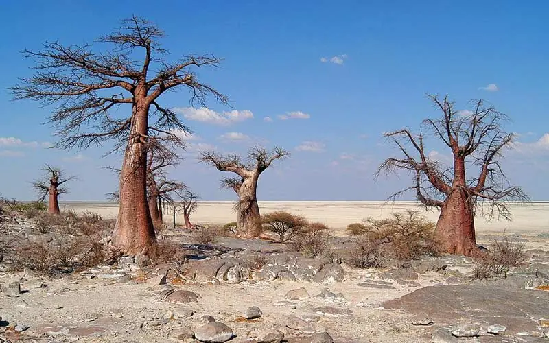 Makgadikgadi Pan