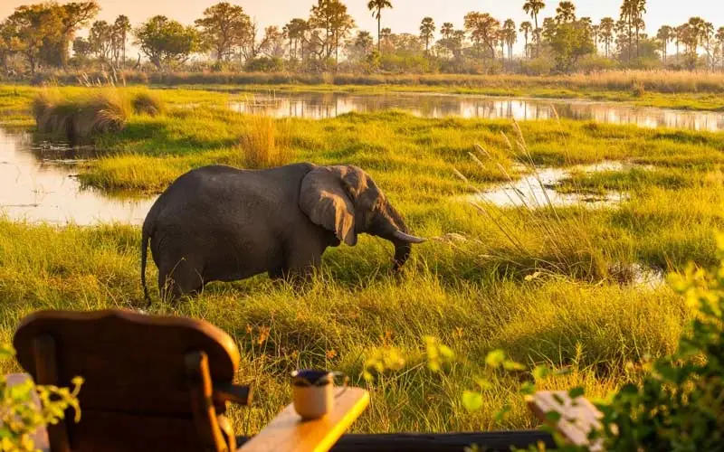 Maun National Park