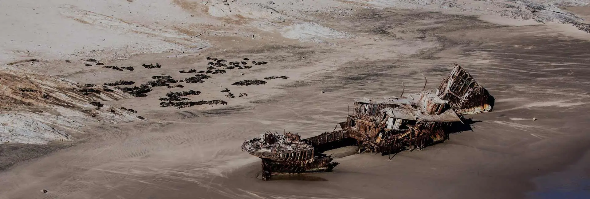 Skeleton Coast