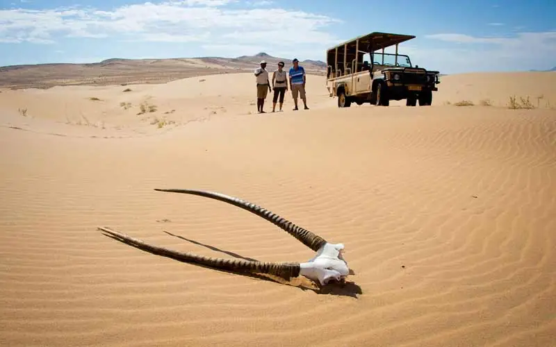 Skeleton Coast